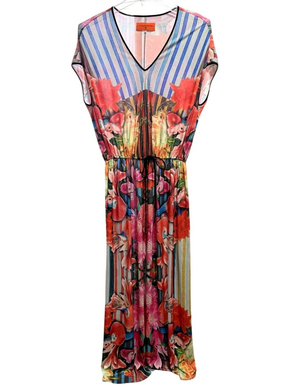 Clover Canyon XS Abstract Floral Stripe Sleeveless V-Neck Maxi Dress Vacation